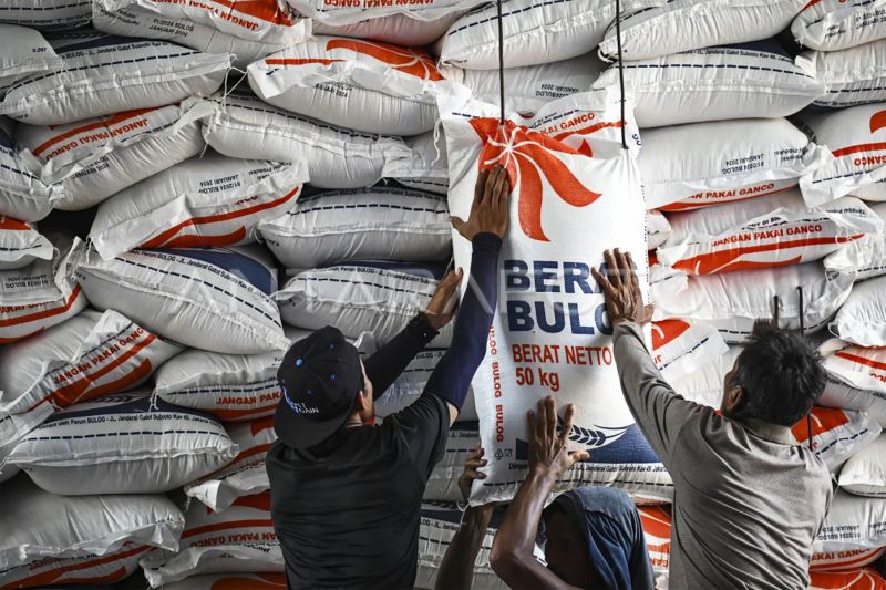harga-beras-naik-jelang-musim-panen